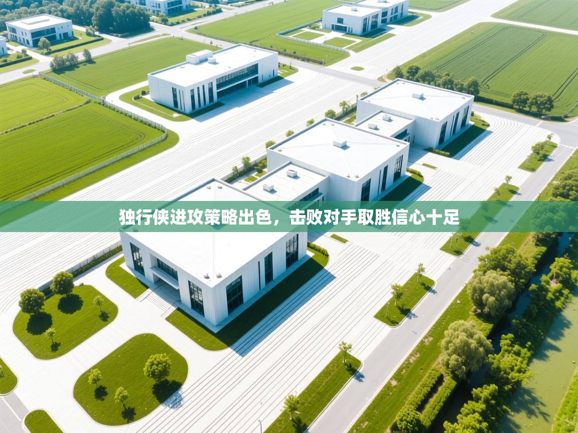 开云邀请码-独行侠进攻策略出色，击败对手取胜信心十足  第2张