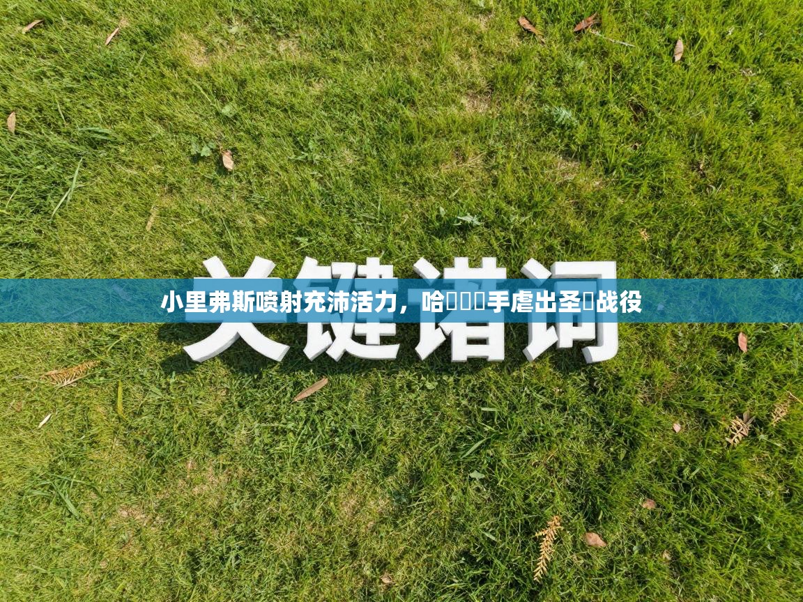 开云体育app官网-小里弗斯喷射充沛活力，哈羅倫聯手虐出圣誕战役  第4张